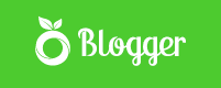 website footer logo